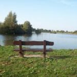 12 mei: wandeling Goudse Hout